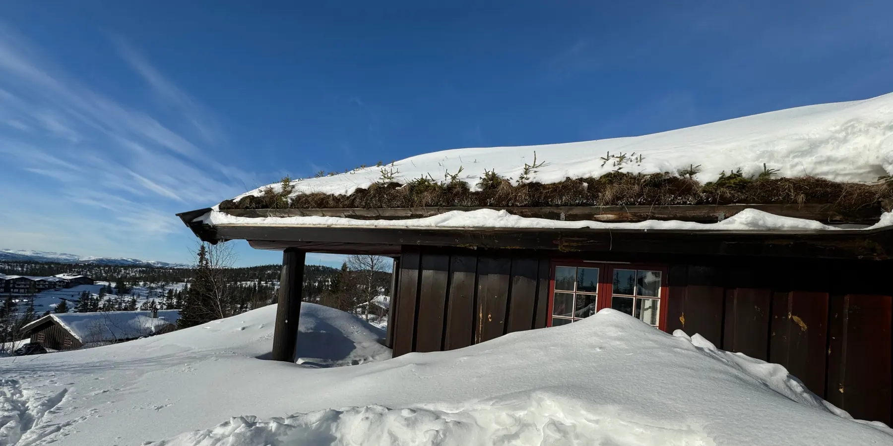 Una cabaña de madera con el tejado de hierba cubierto de nieve.