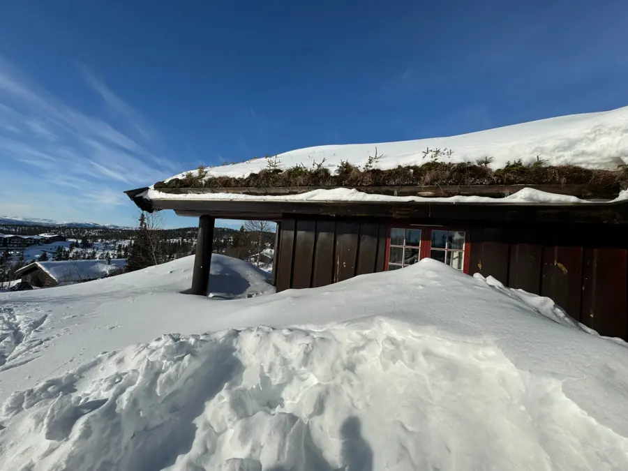 Una cabaña de madera con el tejado de hierba cubierto de nieve.